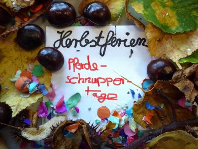 Kastanien, Laub und Konfetti mit Schriftzug Herbstferien Pferdeschnuppertage