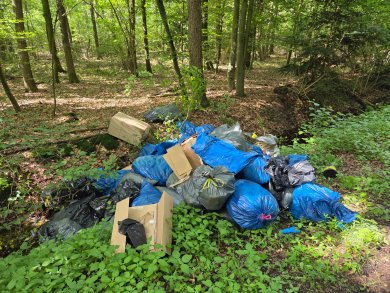Müllsäcke und Kartons im Wald