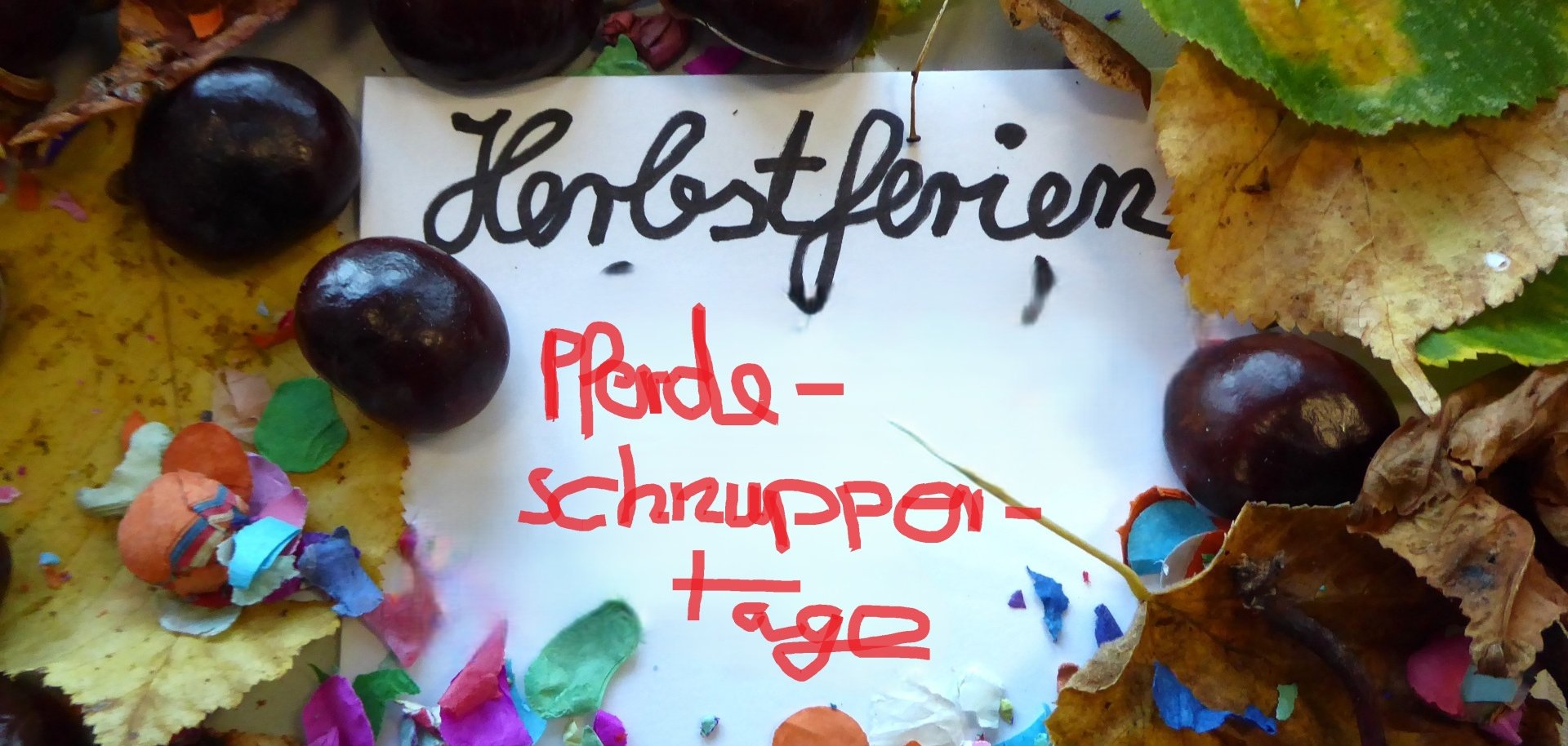 Kastanien und Konfetti mit Schrift Herbstferien Pferdeschnuppertage