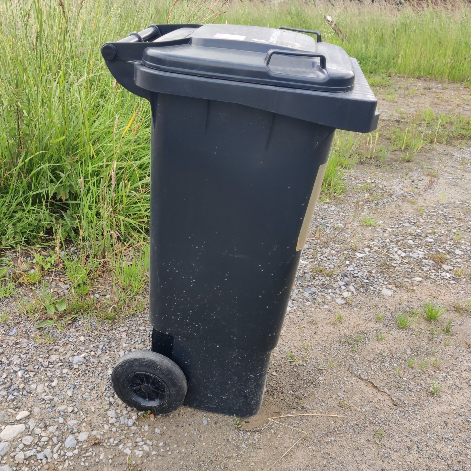 Foto einer Restmülltonne