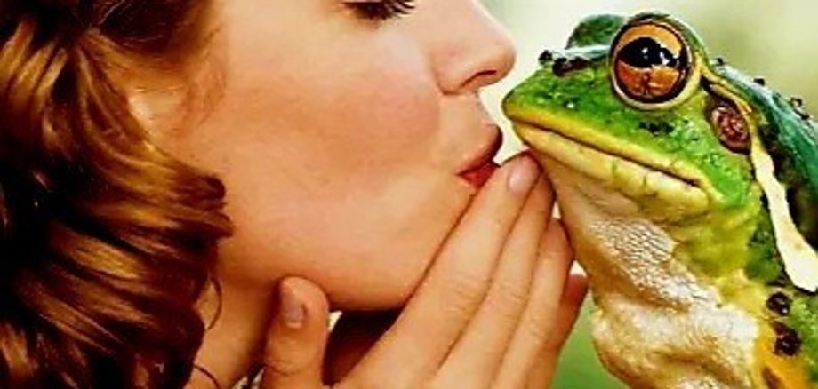 Frau Küsst Frosch und Schrift kiss the frog